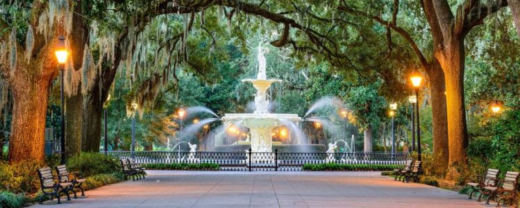 3.-forsyth-fountain-savannah-1500x600-1024x410